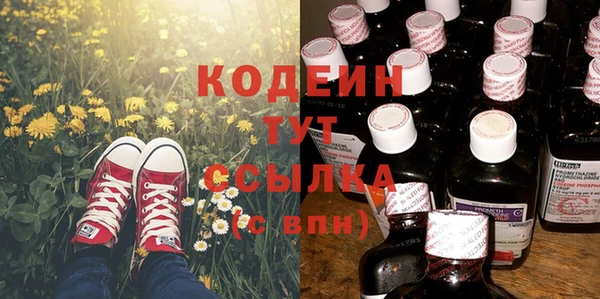 молекула духа Верхний Тагил