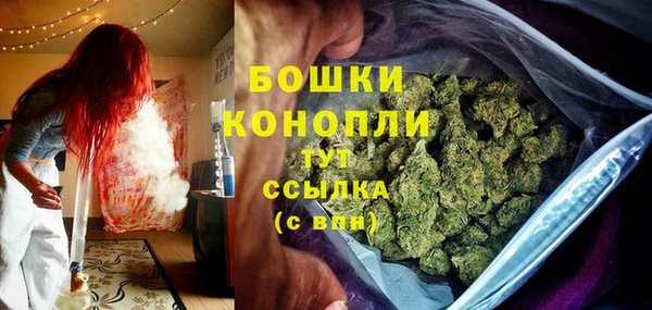 стаф Бронницы