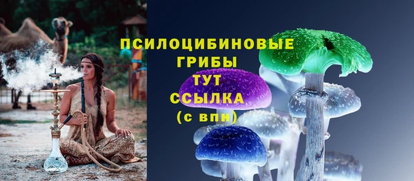 молекула духа Верхний Тагил