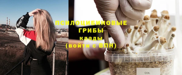 молекула духа Верхний Тагил