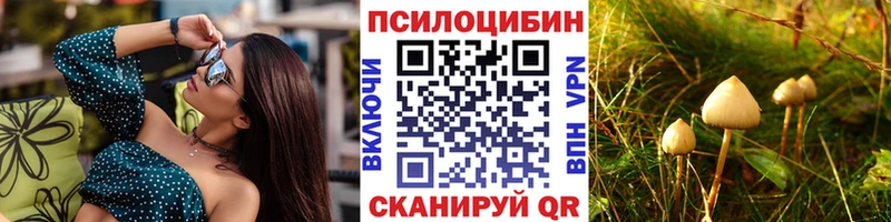гидра ССЫЛКА  Валдай  Псилоцибиновые грибы Cubensis 